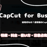 CapCut for Businessとは？ 初心者向けに使い方・機能・料金・注意点を解説！